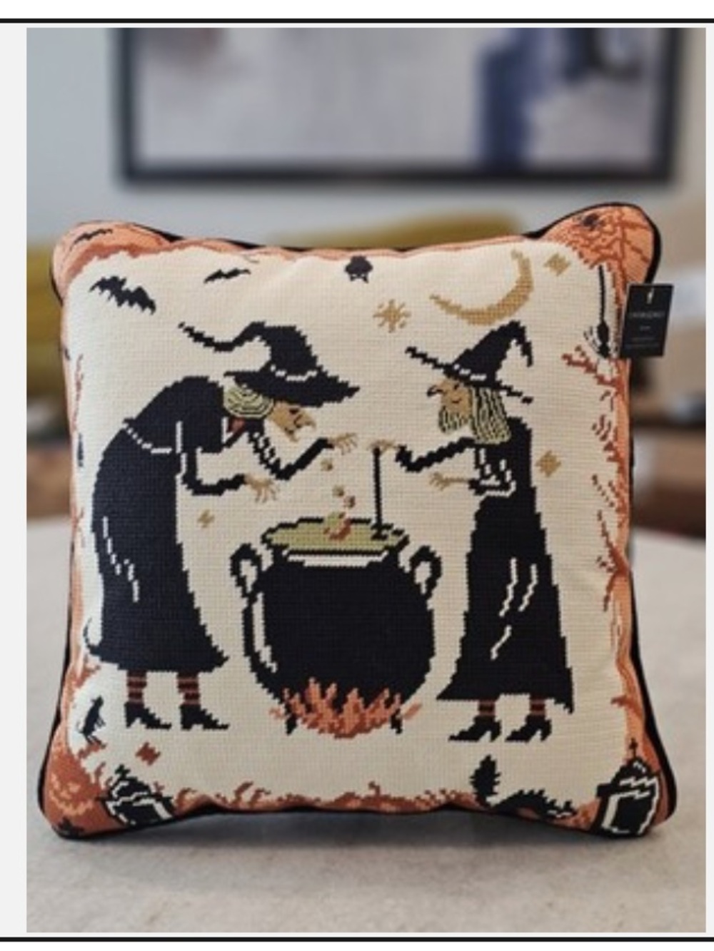 Cynthia Rowley Witch Cauldron Needlepoint Decorative Pillow